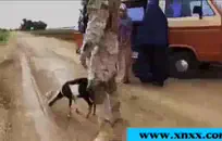 البلطجة مع الهزات ديك ضخمة قبالة الكاميرا.